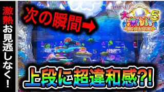 【636日目】大海物語5実践動画！上段に灼熱の違和感発生?!あなたは気づける？（ガチ実践動画2024/6/5）