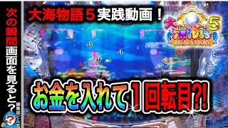 【P大海物語5】実践動画！この後すぐ…⁈(編集部ビル君実践動画2024/07/10.11）