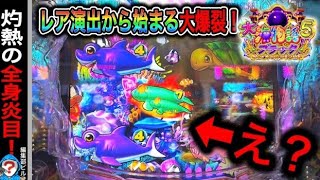 【P大海物語5ブラック】実践動画！(編集部ビル君実践動画2024/07/03）