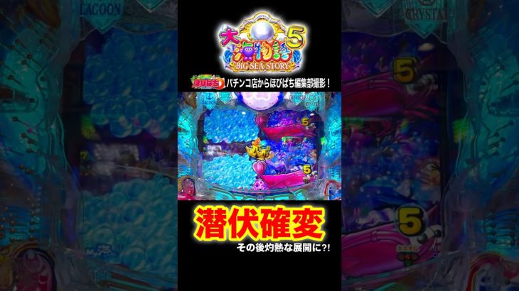 【Ｐ大海物語５】実践動画の見どころ‼️#海物語 #大海5 #ほびぱち #チャンネル登録お願いします