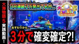 【649日目】大海物語5実践動画！（ガチ実践動画2024/7/19）