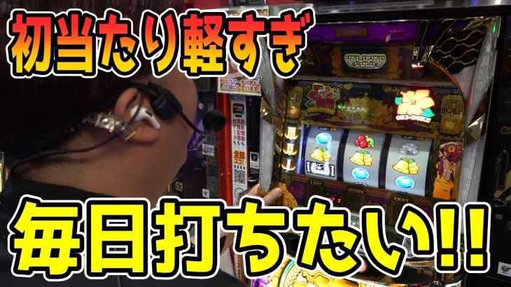 【沖ドキゴールド】結局ゴールドに戻ってくる。勝ちたいならゴールドよな。【パチンコ、パチスロビュッフェスタイル】