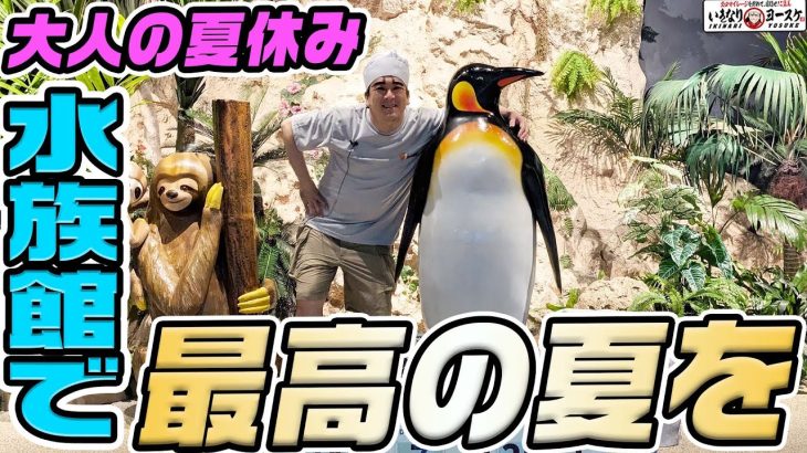 沖縄の水族館で最高の夏を過ごしてみた｜1GAMEいきなりヨースケ（特別編）【パチスロ・パチンコ】