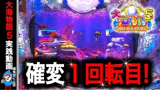 【P大海物語5】実践動画！確変1回転目に注目‼️(編集部ビル君実践動画2024/09/03）