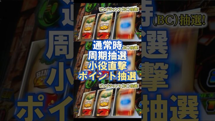 新台情報【Lスーパービンゴネオ】 #パチスロ #新台動画 #パチスロ好きと繋がりたい#スマスロ