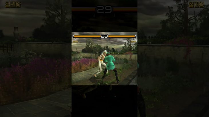 [TAS] Tekken 5 – Nina 👱‍♀️ vs. Anna 👩