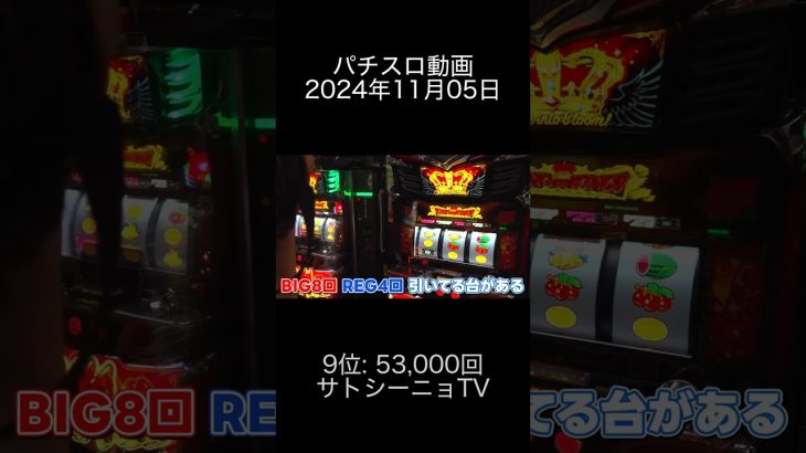 2024年11月05日 パチスロ動画ランキング 9位: サトシーニョTV