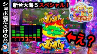 【新台 P大海物語5スペシャル】実践動画！ショボ連ばかりの台を打つとどうなる⁉️(編集部ビル君実践動画2024/11/14）