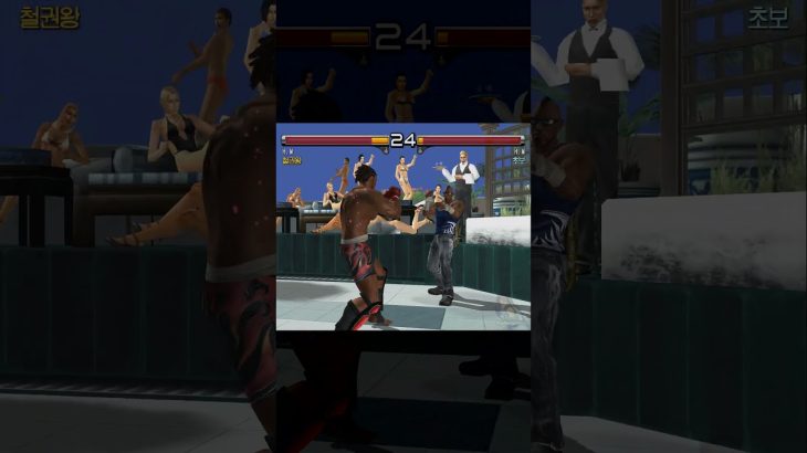 [TAS] Tekken 5 – Bruce vs. Bruce