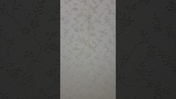 最近のスロット立ち回り(ヴァルヴレイヴ、スマスロ聖闘士星矢)