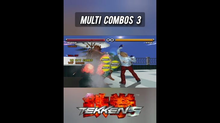 【鉄拳5/TEKKEN5】Multi Character Combos 3 #tekken5 #shorts #鉄拳5 #tekkencombo #gameplay