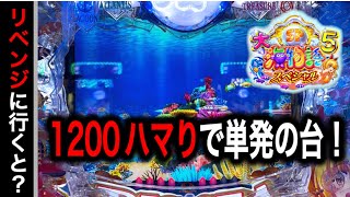 【720日目】大海物語5スペシャル実践動画！昨日遊タイム単発よ台をリベンジ実践！（ガチ実践動画2025/2/14）
