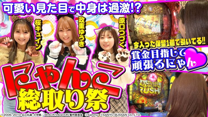 【この動画でしか見られない激レア猫映像！？】にゃんこ総取り祭[パチンコオリジナル実戦術SP編集部]