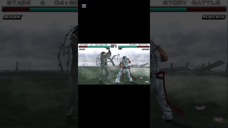 Baek Tekken 5 Dark Resurrection