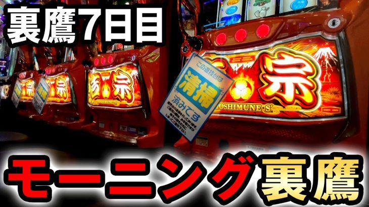 【裏鷹7日目】モーニング裏鷹から万枚まで打つ [スマスロ吉宗] 桜#748
