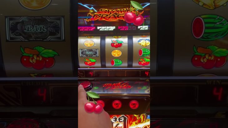 【ハナハナ】ドラゴンハナハナ閃光 #スロット #スロット動画 #スロット実践 #ハナハナ
