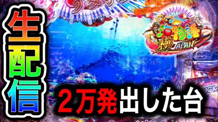 【新台P海物語極JAPAN】4円パチンコライブ配信！（ガチ実践ライブ2025/6/28）【748日目後半】