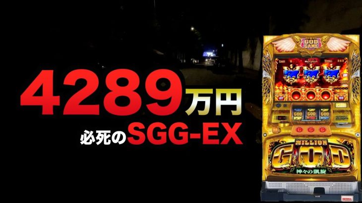4289万円から必死のSGG-EX