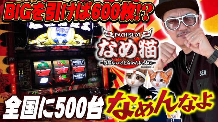 チェリ男の悠遊自適 新台実戦編【全国に500台だけど なめんなよ！！なめ猫！！】-ミクちゃんガイア三宮店-パチンコ・スロット番組