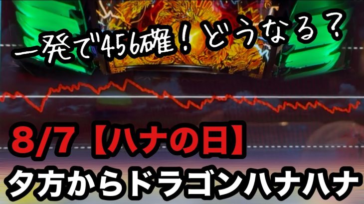 ハナの日に超優良店で夕方からマイナス台を打ってみた【ドラゴンハナハナ】