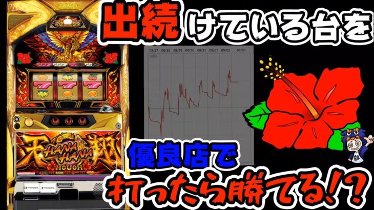 【ハナハナホウオウ天翔】高設定??優良店で出続けてる台を打ったら勝てるのか!?#354