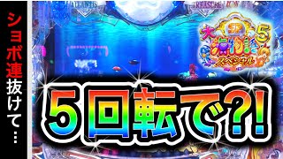 【769.770日目】大海物語5スペシャル実践動画！（ガチ実践動画2025/8/8.9）