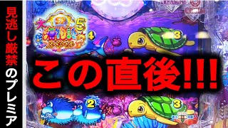 【778日目】大海物語5スペシャル実践動画！（ガチ実践動画2025/9/5）