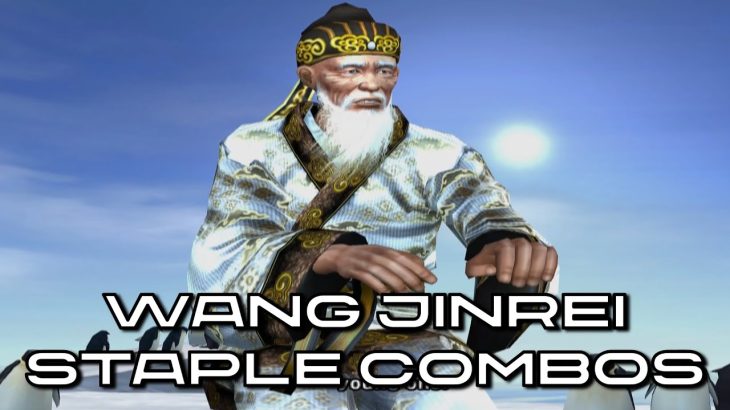 TEKKEN 5 | Wang Jinrei Staple Combos