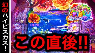 【800.801日目】新台スーパー海物語in沖縄6実践動画！（ガチ実践動画2025/11/7.8）