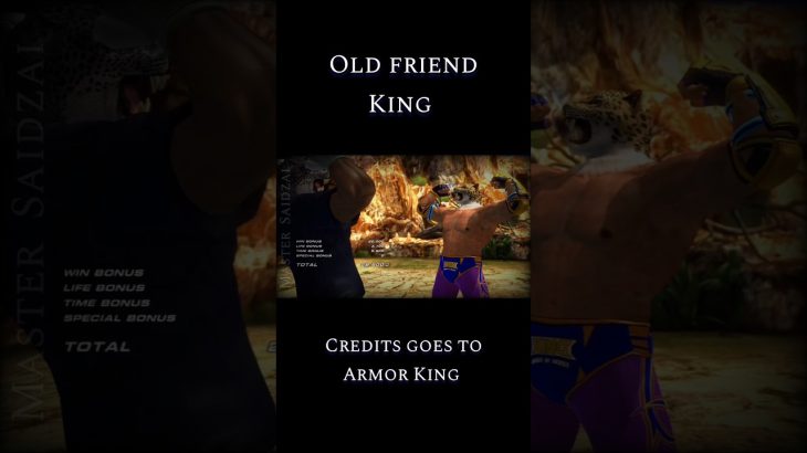 king from Tekken (2)
